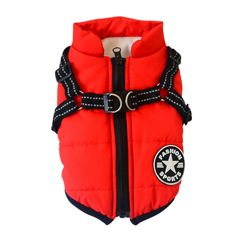 Waterproof Dog Winter Jacket With Harness