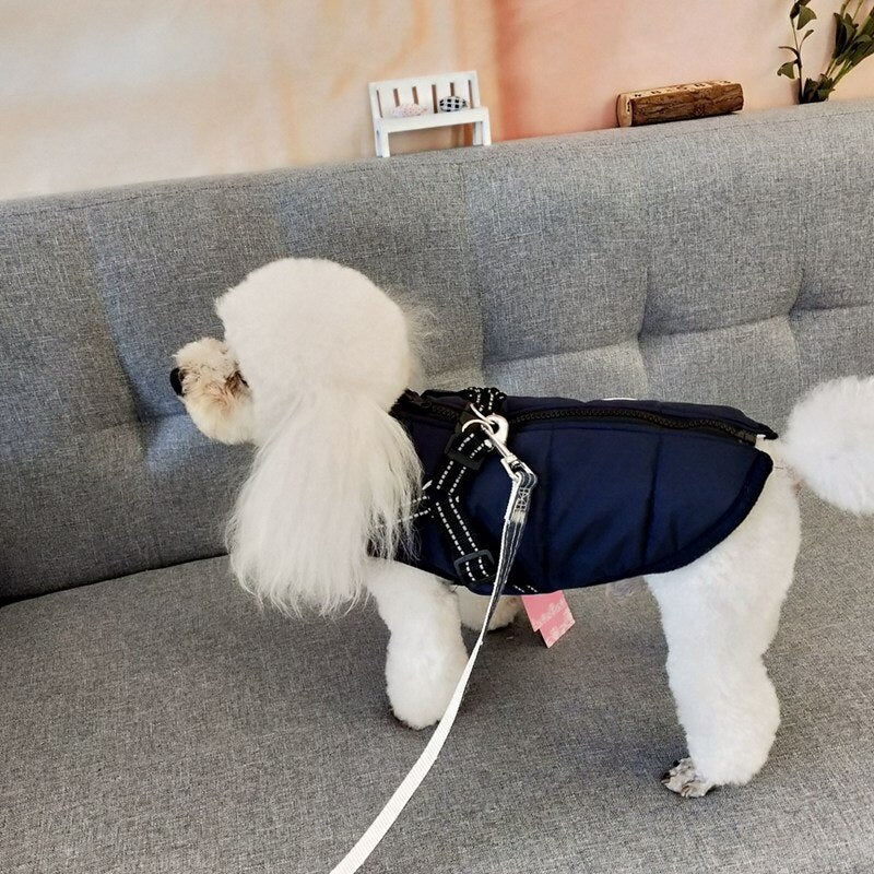 Waterproof Dog Winter Jacket With Harness