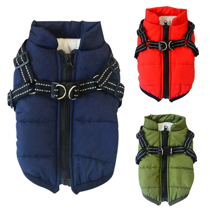 Waterproof Dog Winter Jacket With Harness